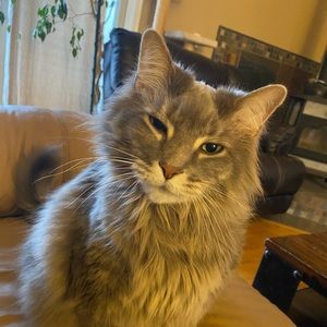 Meet your Posher, Lori